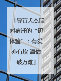导盲犬杰瑞对宿迁的“初体验”：有爱亦有坎 温情破万难