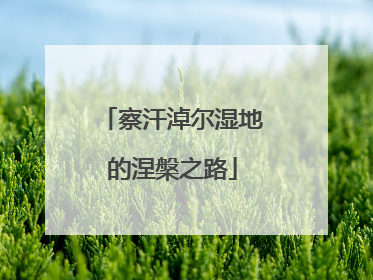 察汗淖尔湿地的涅槃之路