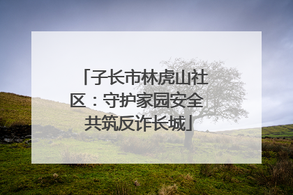 子长市林虎山社区：守护家园安全 共筑反诈长城