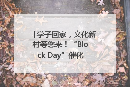 学子回家，文化新村等您来！“Block Day”催化学院式街区新生态