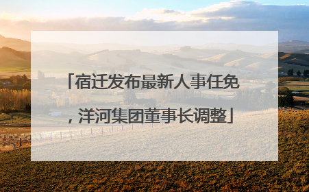 宿迁发布最新人事任免，洋河集团董事长调整