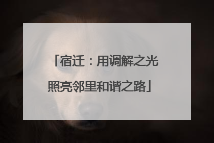 宿迁：用调解之光照亮邻里和谐之路
