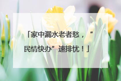 家中漏水老者愁，“民情快办”速排忧！