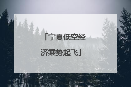 宁夏低空经济乘势起飞