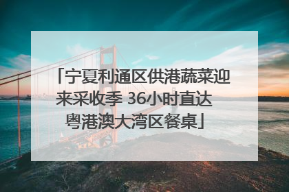 宁夏利通区供港蔬菜迎来采收季 36小时直达粤港澳大湾区餐桌