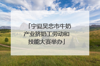 宁夏吴忠市牛奶产业挤奶工劳动和技能大赛举办