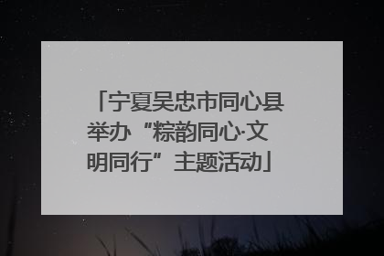 宁夏吴忠市同心县举办“粽韵同心·文明同行”主题活动
