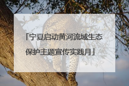 宁夏启动黄河流域生态保护主题宣传实践月