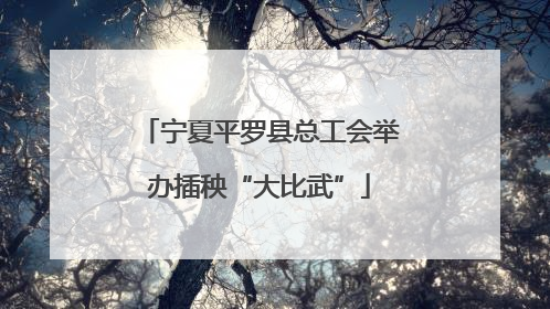 宁夏平罗县总工会举办插秧“大比武”