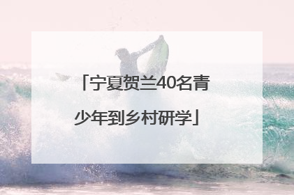 宁夏贺兰40名青少年到乡村研学