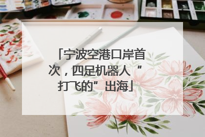 宁波空港口岸首次，四足机器人“打飞的”出海
