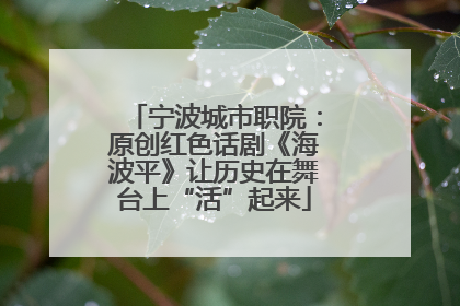 宁波城市职院：原创红色话剧《海波平》让历史在舞台上“活”起来