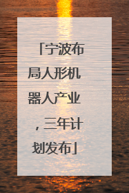 宁波布局人形机器人产业，三年计划发布