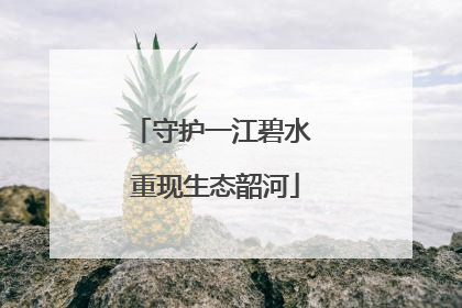 守护一江碧水 重现生态韶河