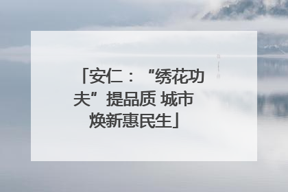 安仁：“绣花功夫”提品质 城市焕新惠民生