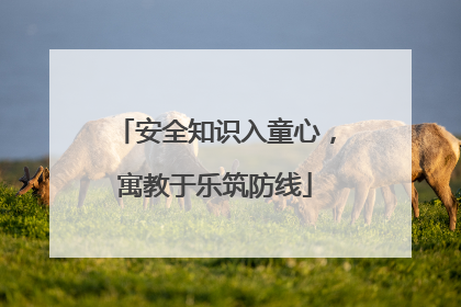 安全知识入童心，寓教于乐筑防线