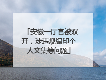 安徽一厅官被双开，涉违规编印个人文集等问题