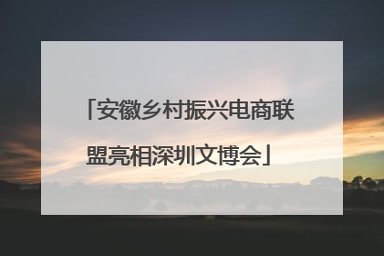 安徽乡村振兴电商联盟亮相深圳文博会