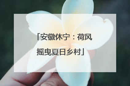 安徽休宁：荷风摇曳夏日乡村