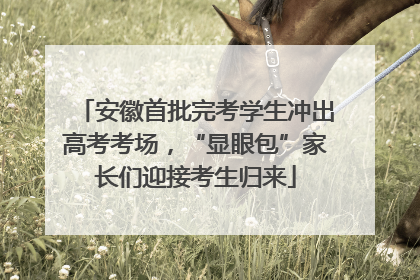安徽首批完考学生冲出高考考场，“显眼包”家长们迎接考生归来