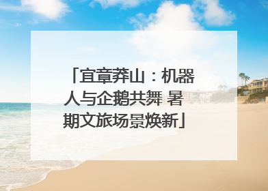宜章莽山：机器人与企鹅共舞 暑期文旅场景焕新