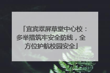 宜宾翠屏草堂中心校：多举措筑牢安全防线，全方位护航校园安全