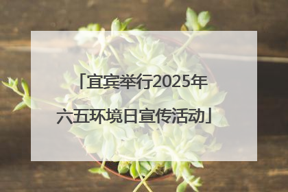 宜宾举行2025年六五环境日宣传活动