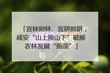 宜林则林、宜耕则耕，咸安“山上换山下”破解农林发展“瓶颈”