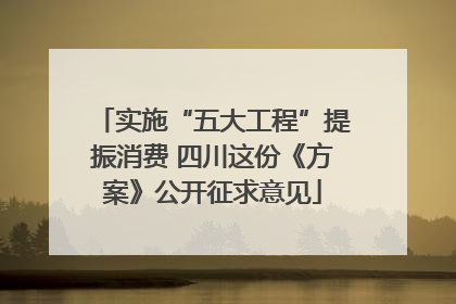实施“五大工程”提振消费 四川这份《方案》公开征求意见