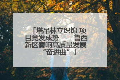 塔吊林立织锦 项目竞发成势——鲁西新区奏响高质量发展“奋进曲”