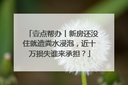 壹点帮办丨新房还没住就遭粪水浸泡，近十万损失谁来承担？