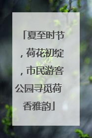 夏至时节，荷花初绽，市民游客公园寻觅荷香雅韵