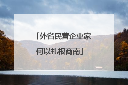 外省民营企业家何以扎根商南