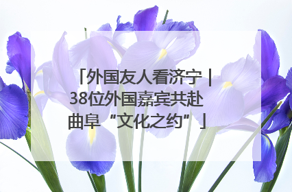 外国友人看济宁｜38位外国嘉宾共赴曲阜“文化之约”