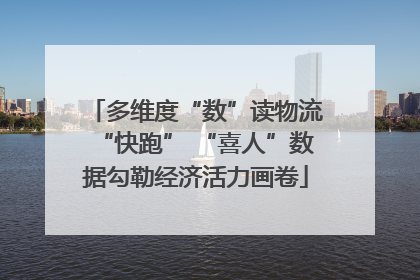 多维度“数”读物流“快跑” “喜人”数据勾勒经济活力画卷