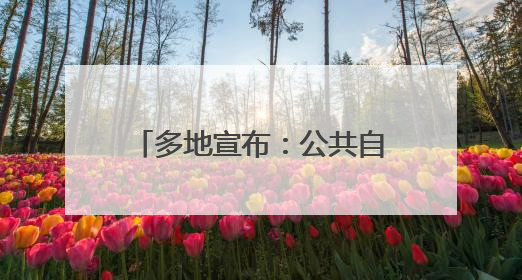 多地宣布：公共自行车项目停止运营