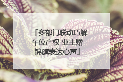 多部门联动巧解车位产权 业主赠锦旗表达心声