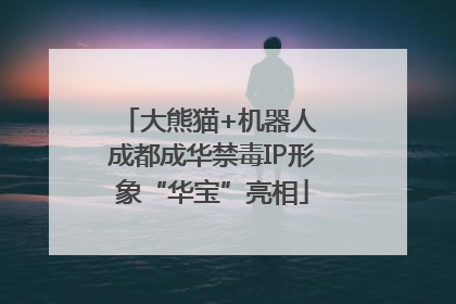 大熊猫+机器人 成都成华禁毒IP形象“华宝”亮相