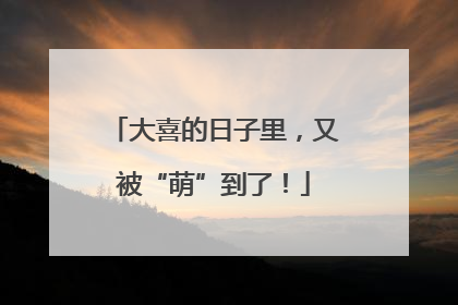 大喜的日子里，又被“萌”到了！