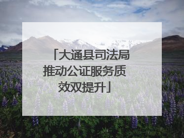 大通县司法局推动公证服务质效双提升