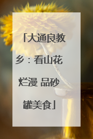 大通良教乡：看山花烂漫 品砂罐美食