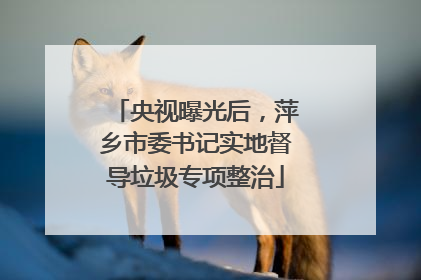 央视曝光后，萍乡市委书记实地督导垃圾专项整治