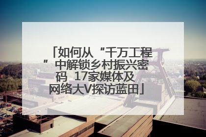 如何从“千万工程”中解锁乡村振兴密码  17家媒体及网络大V探访蓝田