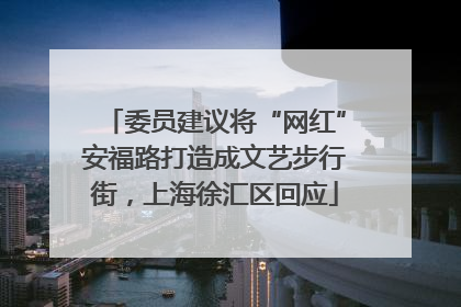 委员建议将“网红”安福路打造成文艺步行街，上海徐汇区回应