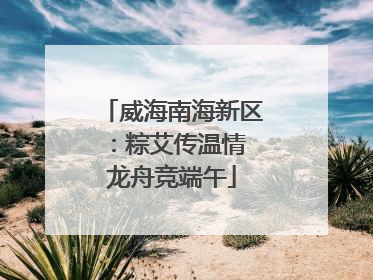 威海南海新区：粽艾传温情 龙舟竞端午