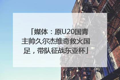 媒体：原U20国青主帅久尔杰维奇救火国足，带队征战东亚杯