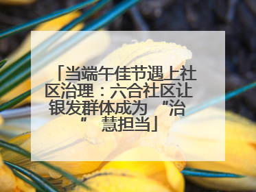 当端午佳节遇上社区治理：六合社区让银发群体成为 “治” 慧担当