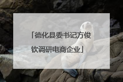德化县委书记方俊钦调研电商企业
