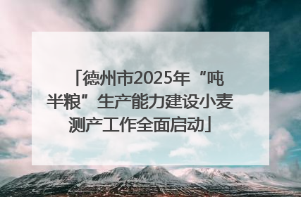 德州市2025年“吨半粮”生产能力建设小麦测产工作全面启动