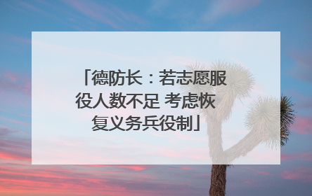 德防长：若志愿服役人数不足 考虑恢复义务兵役制